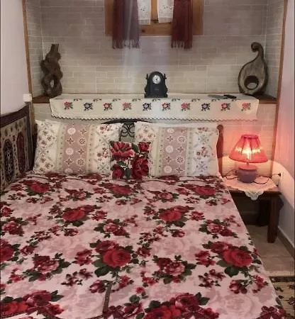 Σπίτι διακοπών η θεα Traditional House Μακρινίτσα