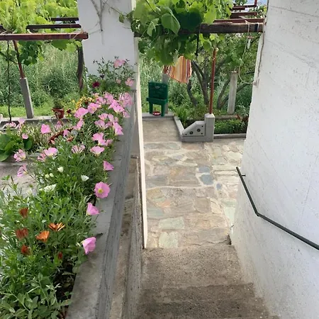 Nyaraló η θεα Traditional House